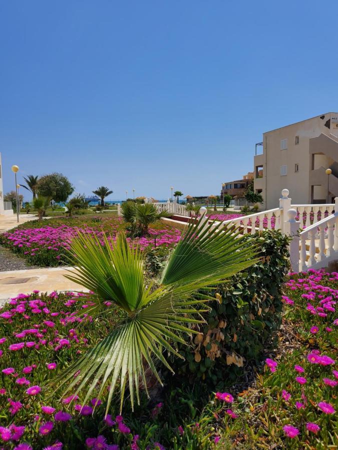 Apartamento Naturista En Primera Linea De Vera Playa!!! Лас-Бомбардас Экстерьер фото