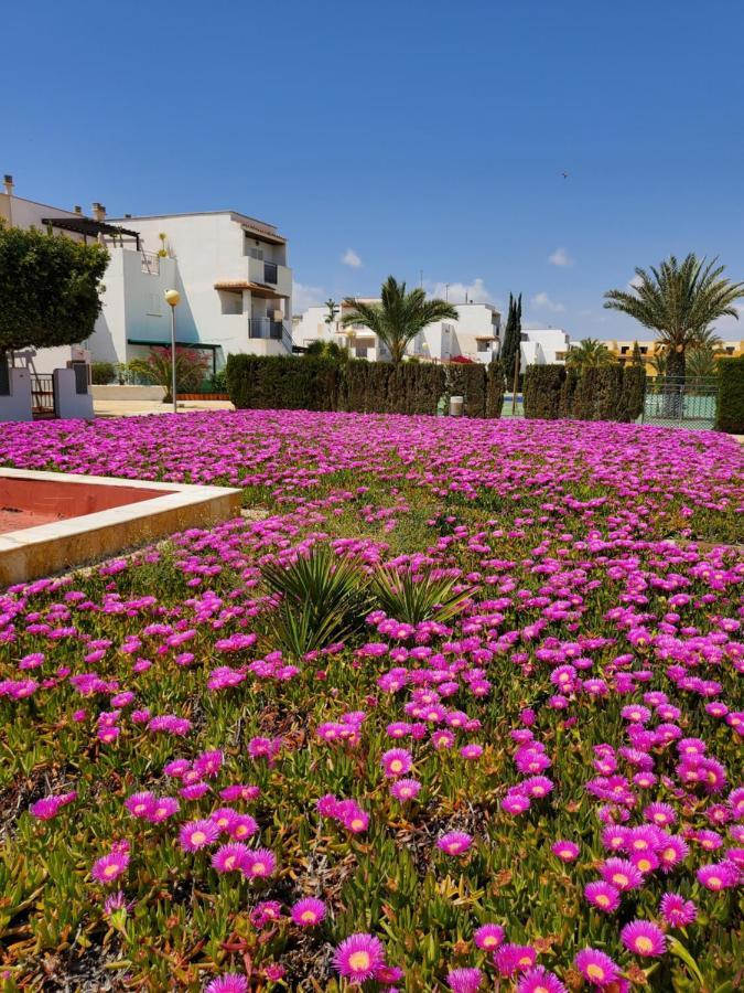 Apartamento Naturista En Primera Linea De Vera Playa!!! Лас-Бомбардас Экстерьер фото